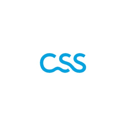 CSS