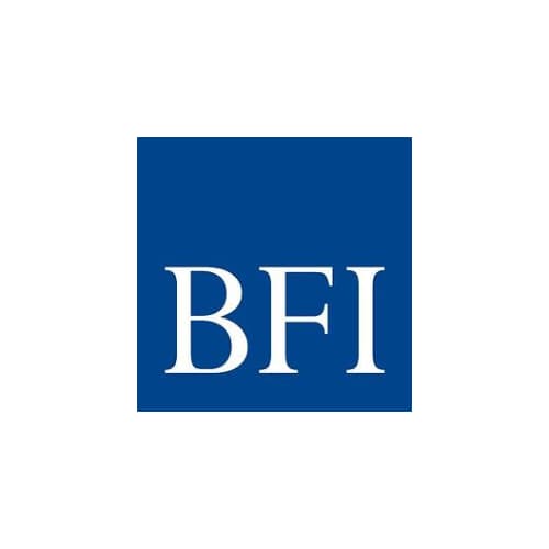 BFI CONSULTING