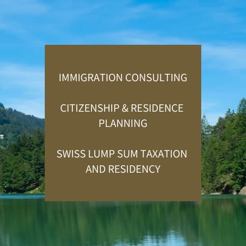 IMMIGRATION CONSULTING