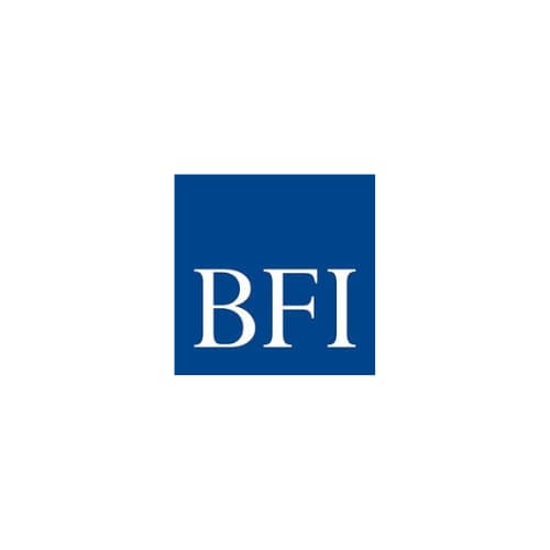 BFI CONSULTING