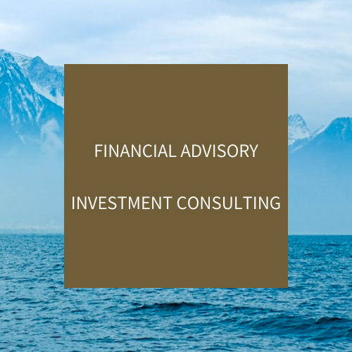 INVESTMENT CONSULTING
