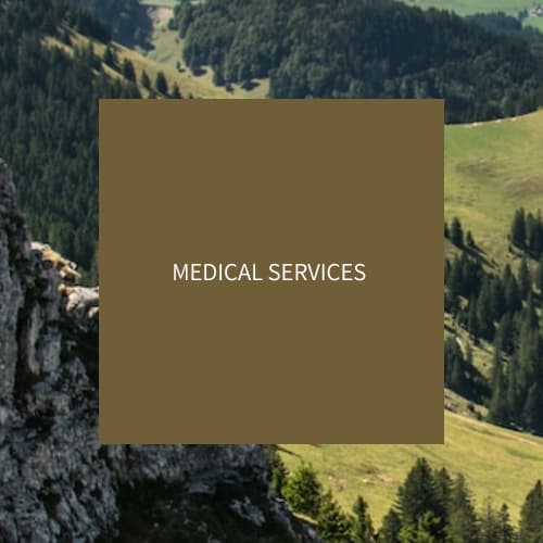 MEDICAL SERVICES AND INSURANCE SOLUTIONS